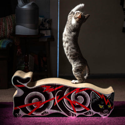 Electric Cat Scratcher Accessories Monmon Cats 