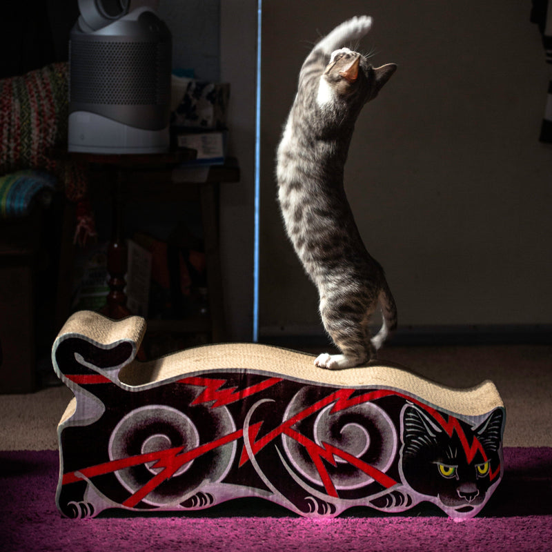 Electric Cat Scratcher Accessories Monmon Cats 